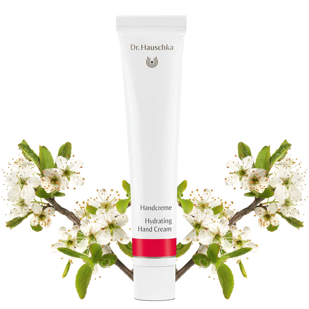 Dr sale Hauschka