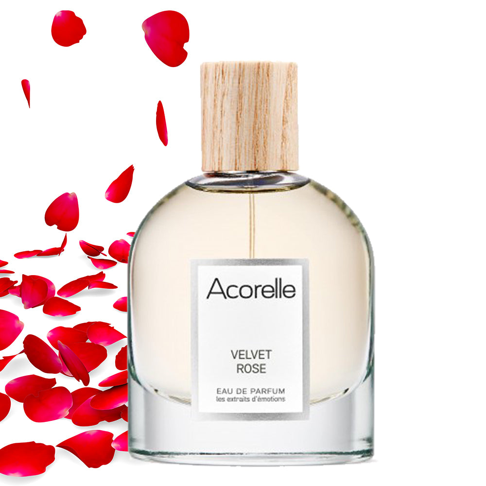 Acorelle 2025 velvet rose